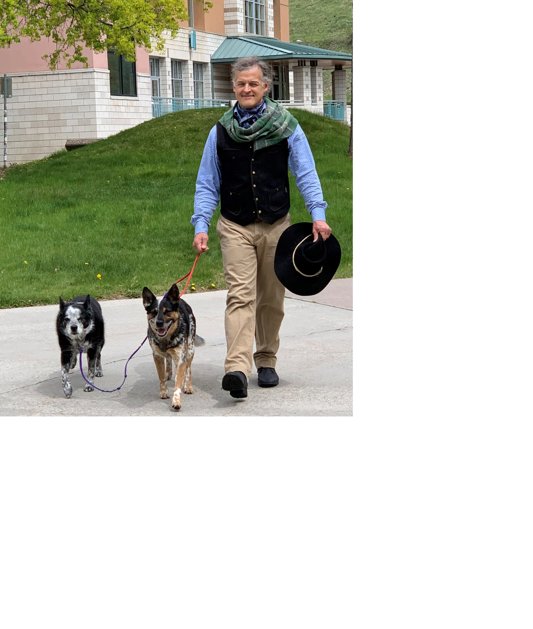 man walking with dogs